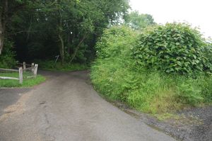 Photo 10- click for photo gallery